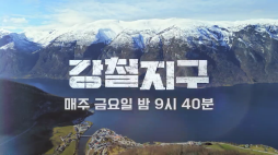 채널A_강철지구 트러플